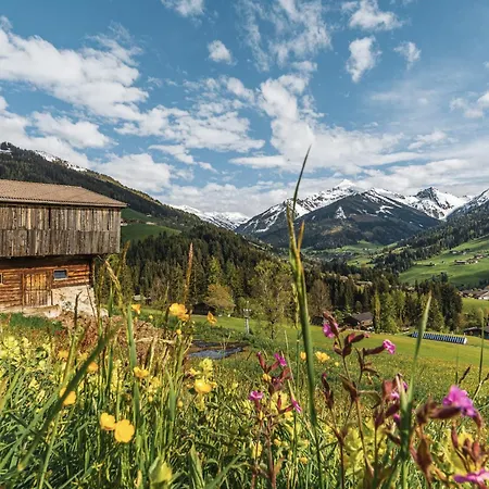 Penthouse N'4 - Rooftop Whirlpool & Mountain View By Alpenluxus * Kramsach